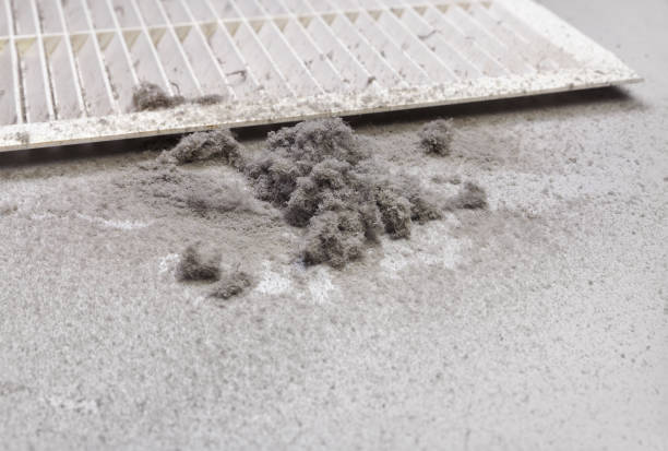 Best Local Air Duct Cleaning Services  in Coppell, TX